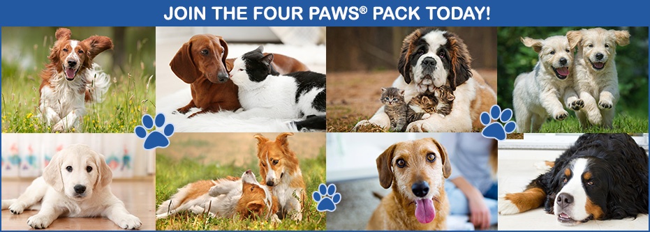 Join The Four Paws Pack